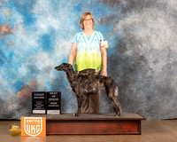 Silken Windhound #320 Fri2 BOBG2Ch Judge Michelle Blackowl