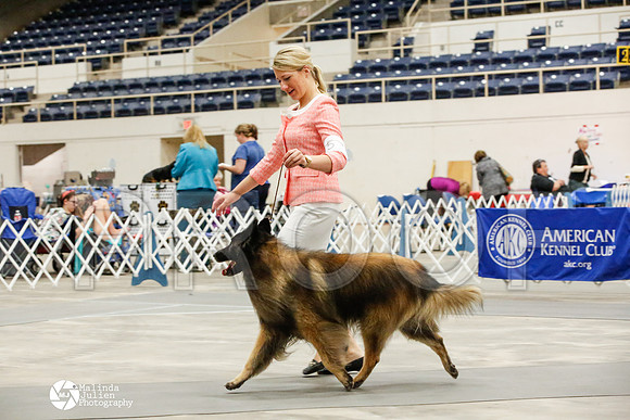 _JJ_9564-AblnMay2014-web