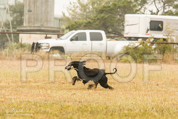 _MJ_2904-AfgBeltonOct2014-HR3
