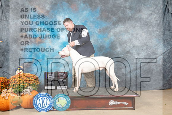 Dogo #7 Sat BOBOHBOB Judge Steve Keating_MJ_5601_Belton_2022_HR3