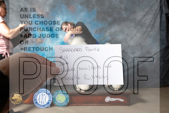 Poodle Std #11 Sat BOWOHBOB Judge Donelle Richards_MJ_5990_Belton_2022_HR3
