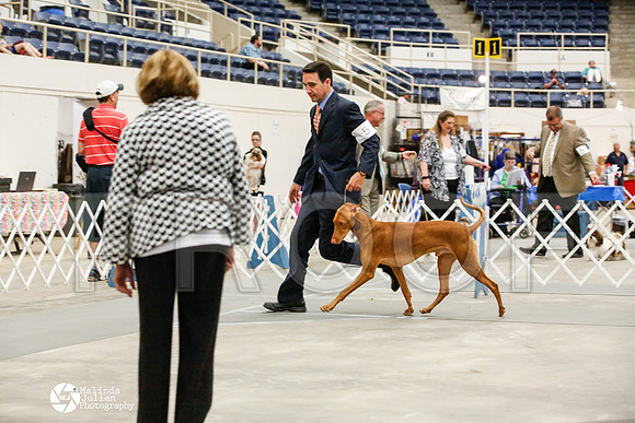_JJ_0100-AblnMay2014-web