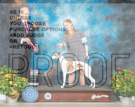 Whippet #12 Th BOS Judge Robert Stein_MMJ_0170_SanAnonio2021_HR3