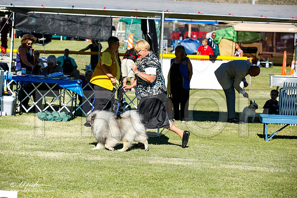 _JN_9670-AlamogordoOct2014-HR3