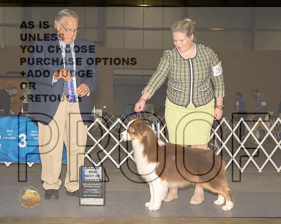 Australian Shepherd #37 Th BOW Judge John Wade__MJ_3066_SanAnonio2021_HR3