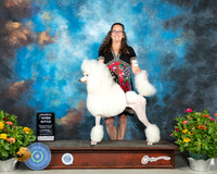 Poodle Std #20 Th OpnB4 Judge John Constantine Amodei