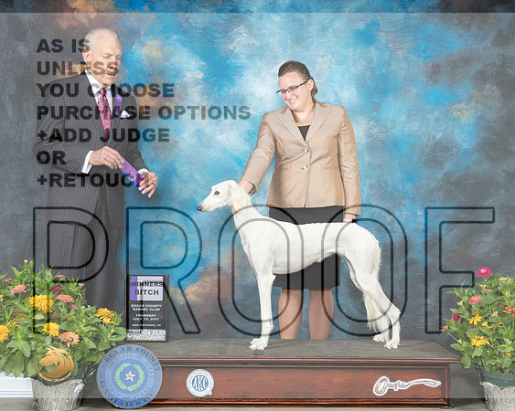 Saluki #10 Th WB Judge Robert Stein_MMJ_0217_SanAnonio2021_HR3