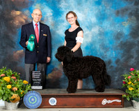 Barbet #6 Th OHG3 Judge John Constantine Adomei