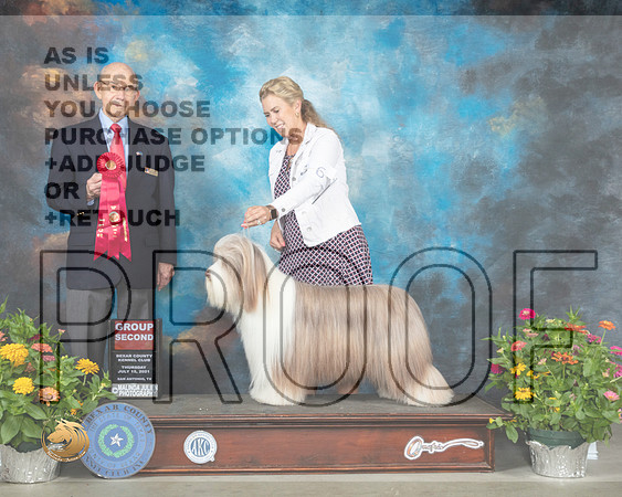 Bearded Collie #6 Th G2 Judge Ken Buxton_MMJ_0397_SanAnonio2021_HR3