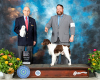 Brittany #7 Th OHG4 Judge John Constantine Adomei