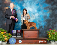 Cavalier King Charles Spaniel #10 Th BOB Judge Robert Hutton