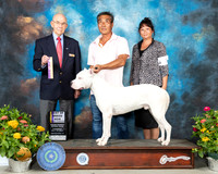 Dogo Arengtino #7 Th BOB Judge Ken Buxton