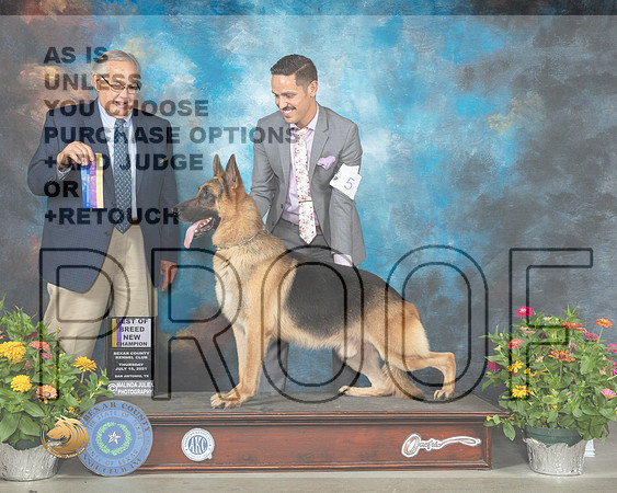 German Shepherd Dog #5 Th BOB Judge John Wade_MMJ_0402_SanAnonio2021_HR3