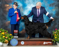 Gordon Setter #5 Th G2 Judge Johnny Shoemaker