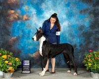 Great Dane #18 Th WB Judge Ken Buxton