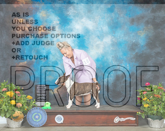 Miniature Bull Terrier #10 Th OHG3 Judge Robert Hutton_MMJ_0374_SanAnonio2021_HR3