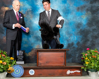 Poodle Mini #16 BOW Judge Robert Hutton