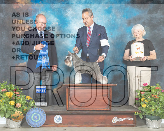 Schnauzer Mini #8 Th G1 Judge John Constantine Adomei_MMJ_0340_SanAnonio2021_HR3