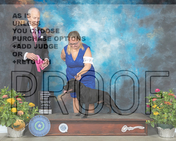 Staffordshire Bull Terrier #7 Th OHG1 Judge Robert Hutton_MMJ_0367_SanAnonio2021_HR3