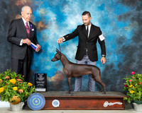 Xolo #6 Th BOW Judge Robert Hutton