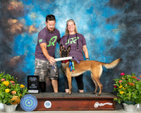 Belgian Malinois Kassandra