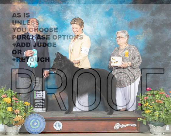 Belgian Sheepdog #5 Th OHBIS Judge John Constantine Amodei_MMJ_0533_SanAnonio2021_HR3