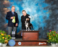 Boston Terrier #20 Th OHRBIS Judge John Constantine Amodei