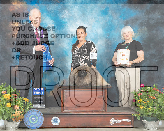 Pekingese #7 Th G1 Judge Robert Hutton_MMJ_0490_SanAnonio2021_HR3