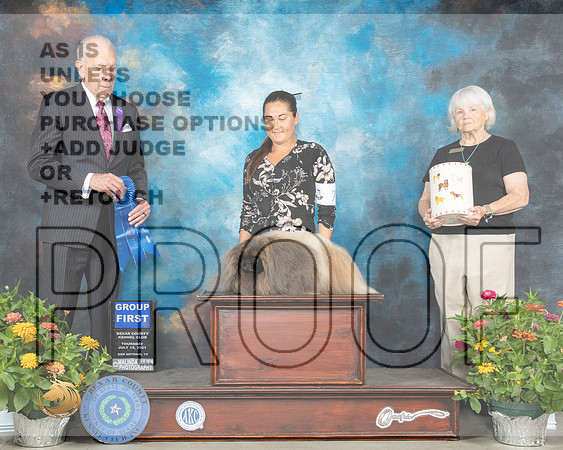 Pekingese #7 Th G1 Judge Robert Hutton_MMJ_0487_SanAnonio2021_HR3