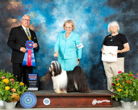 Tibetan Terrier #5 Th RBIS Judge John Booth