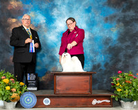 Maltese #9 Th BOW Judge John Booth