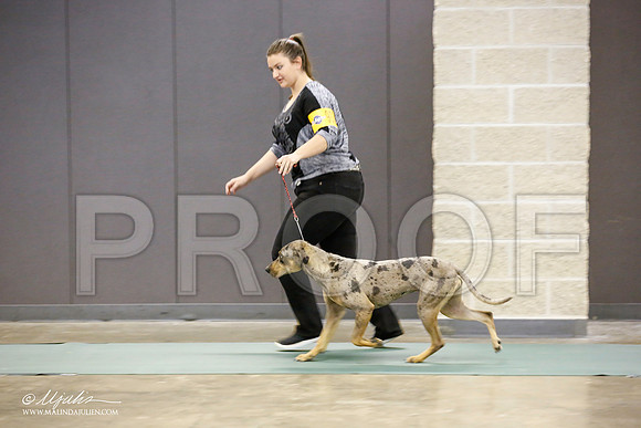 _JN_1332-BeltonJan2015-HR3