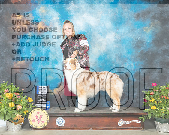 Australian Shepherd #43 Fri AOM1st Linn Brown_MMJ_0601_SanAnonio2021_HR3