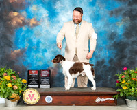 Brittany #Fri 7 BOSOHBOB Judge Judy Brown