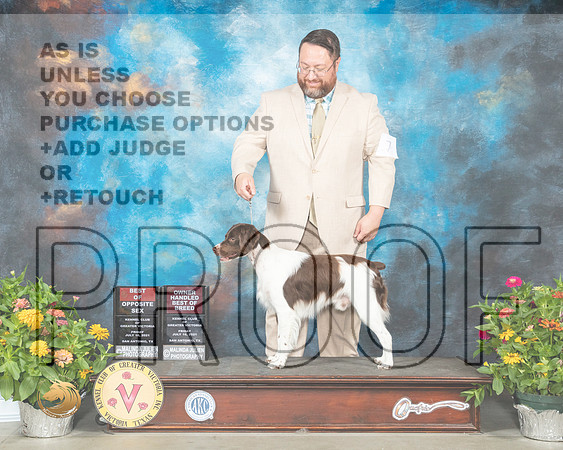 Brittany #Fri 7 BOSOHBOB Judge Judy Brown_MMJ_0622_SanAnonio2021_HR3