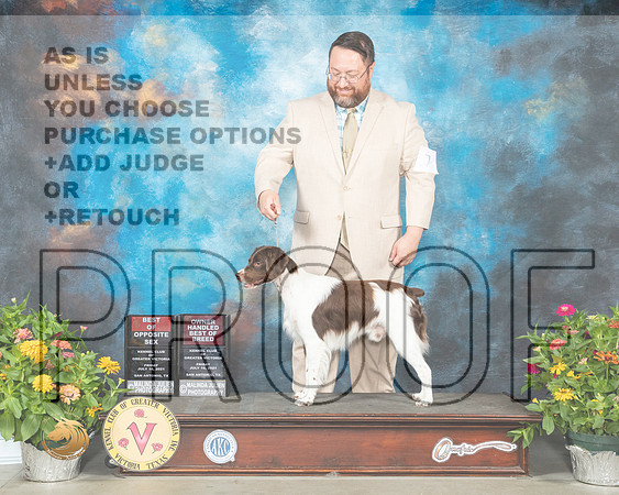 Brittany #Fri 7 BOSOHBOB Judge Judy Brown_MMJ_0623_SanAnonio2021_HR3