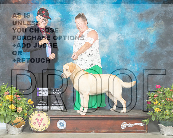 Labrador Retriever #27 Fri WB Judge Johnny Shoemaker_MMJ_0616_SanAnonio2021_HR3