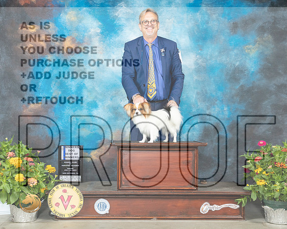 Papillon #7 Fri BOW Judge John Constatine Amodei_MMJ_0608_SanAnonio2021_HR3