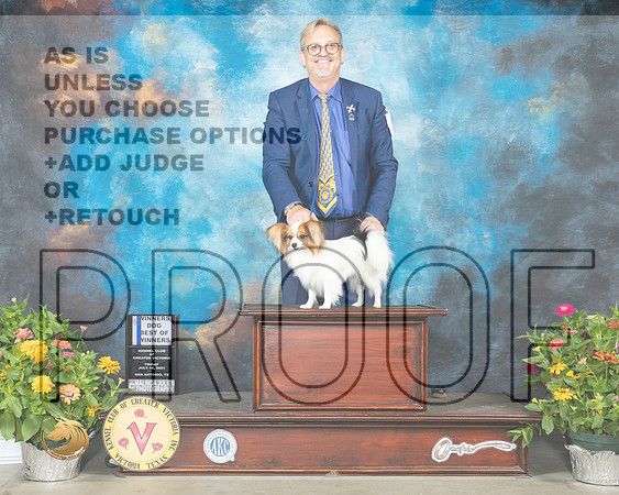 Papillon #7 Fri BOW Judge John Constatine Amodei_MMJ_0610_SanAnonio2021_HR3