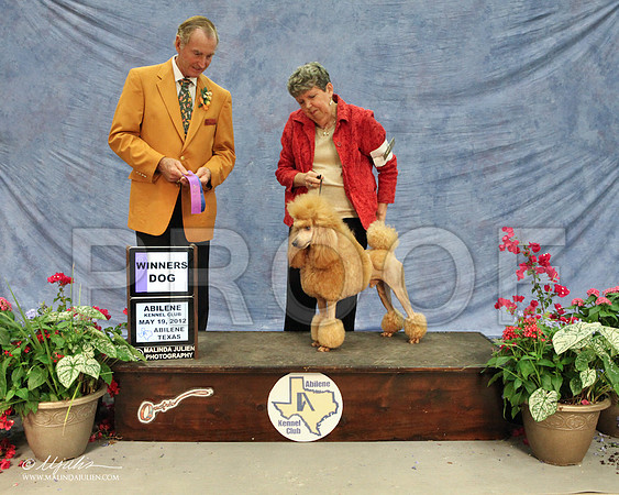 wpSat-0293LR