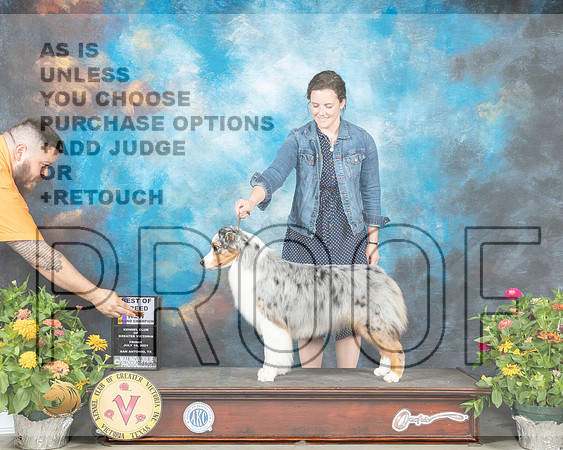 Australian Shepherd #26 Fri BOB Judge Linn Brown_MMJ_0909_SanAnonio2021_HR3