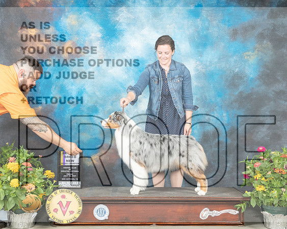 Australian Shepherd #26 Fri BOB Judge Linn Brown_MMJ_0919_SanAnonio2021_HR3