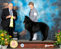 Belgian Sheepdog #5 Fri G3 Judge John Wade