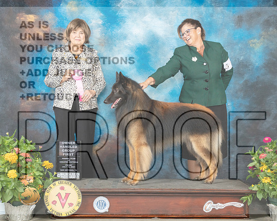 Belgian Tervuren #5 Fri OHG1 Judge Linn Brown_MMJ_1208_SanAnonio2021_HR3
