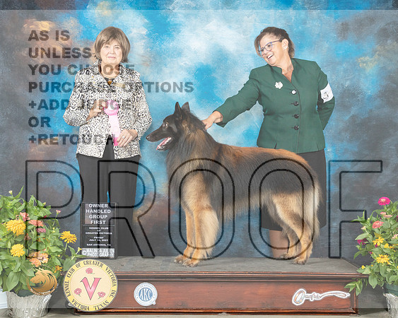 Belgian Tervuren #5 Fri OHG1 Judge Linn Brown_MMJ_1209_SanAnonio2021_HR3