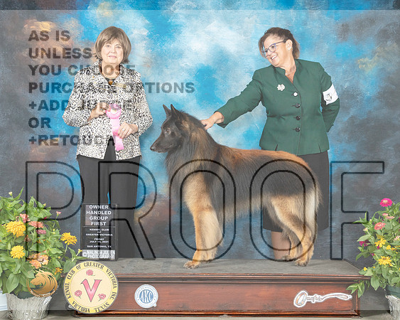 Belgian Tervuren #5 Fri OHG1 Judge Linn Brown_MMJ_1210_SanAnonio2021_HR3