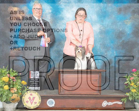 Biewer Terrier #6 Thurs BOS Judge John Booth_MMJ_1177_SanAnonio2021_HR3
