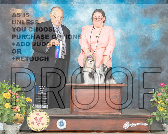 Biewer Terrier #9 Fri BOW Judge John Wade_MMJ_1163_SanAnonio2021_HR3