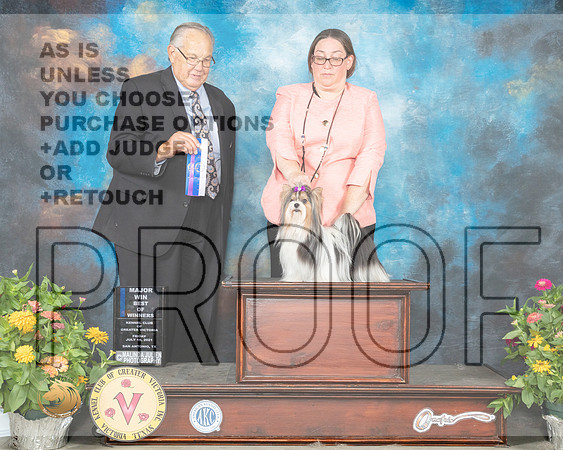 Biewer Terrier #9 Fri BOW Judge John Wade_MMJ_1165_SanAnonio2021_HR3