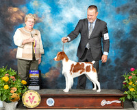 Brittany #6 Fri BOB Judge Judy Brown
